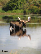 Successful hunts are perfect conspiracies of preparation and good luck