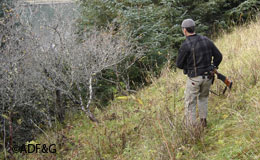Hunters such as this Southeast Alaskan stalking Sitka blacktailed deer contribute substantially to wildlife conservation through the Wildlife Restoration Fund Since 1939 the Wildlife Restoration Fund has provided more than 12 billion in grants to state fish and wildlife agencies