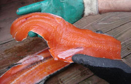 Sockeye salmon fillets