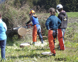 The chainsaw class at the Southeast Alaska 2011 Becoming an Outdoors Woman event