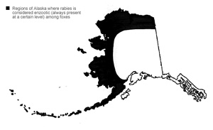 Regions of Alaska where fox rabies is considered to be endemic always present at some level
