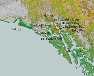 Moose in Southeast Alaska are found in about 10 localized populations