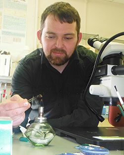 Kevin McNeel prepares an otolith for reading by heating it over an alcohol flame