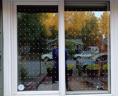 Windows that reflect the sky and trees can be dangerous for birds A pattern of spots on the glass can help especially when placed close like these