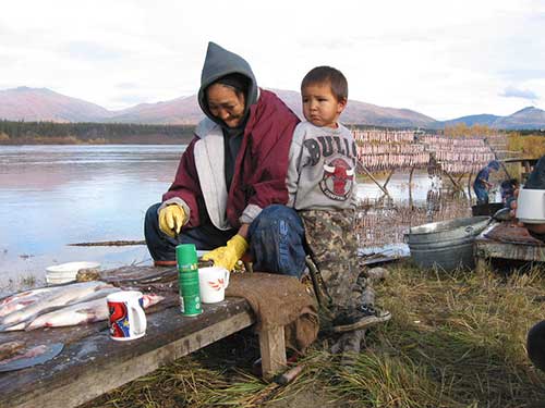 Dolly Custer cuts whitefish while her son watches in a fish camp near Shungnak