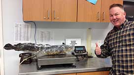 The author at the official weighing at the Fairbanks ADFampG office