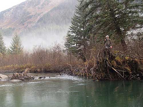 Biologist Leon Shaul counts salmon in a pool on the Berners River north of Juneau Photo by Scott Forbes