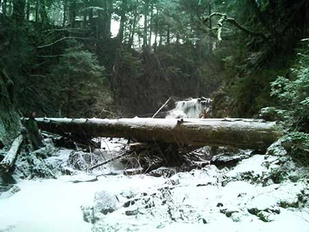 Rick left leaning on the logs at the barrier on Whipple Creek just as it is beginning to storm