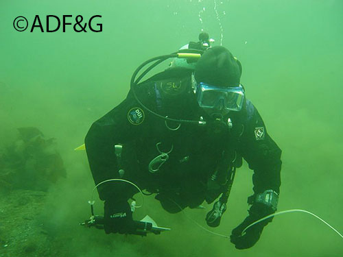 State biologists study and monitor herring and shellfish where they live in coastal waters especially in Southeast Alaska Photo courtesy Scott Walker