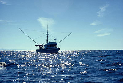 A Sitkabased troller