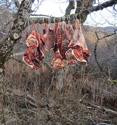 Caribou meat can carry a parasitic disease toxoplasmosis and should be cooked