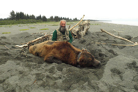 LaVern Beier with a Malaspina bear Malaspina bears spend a lot of time scavenging on the beach and many of the bears were caught on the beaches Footsnares were anchored to big beach logs bears were snared darted with an immobilizing drug processed collared and released unharmed