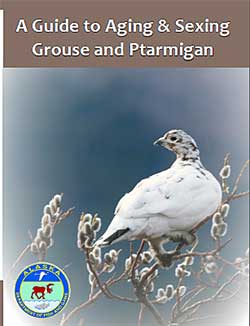 A new pocketsized guide for grouse and ptarmigan will be available for hunters in late October