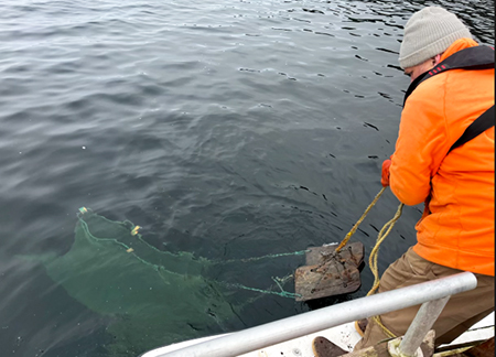 Mark deploys a shrimp net with doors Mark Stopha photo