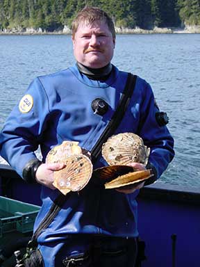 Author Scott Walker with Weathervane Scallops Patinopecten caurinus found while conducting herring spawn surveys on the RV Sundance