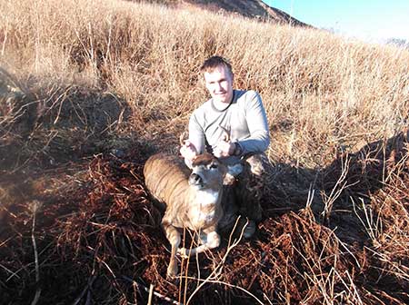 CD with a Kodiak Island deer