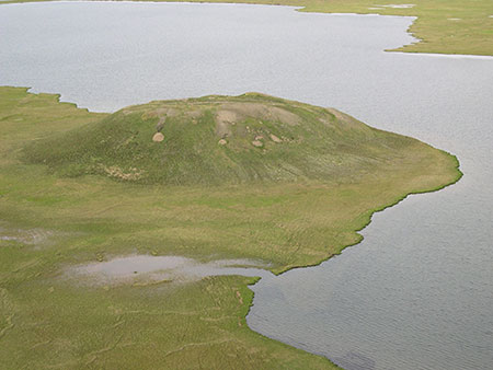 Multiple dens in a pingo south of Prudhoe Bay Photo by Dick Shideler