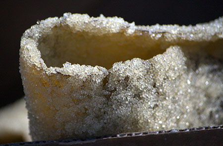Herring eggs on a strip of kelp
