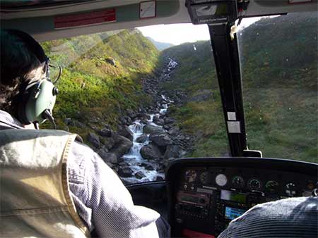 Helicopter reconnaissance in the canyon of Upper Allison Creek near Valdez Yes we are flying Photo MD Miller 924 2010