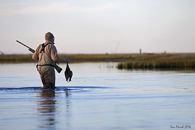 Robert Begich returns to his blind with an openingday mallard