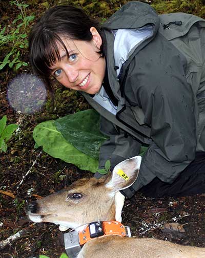 Fish and Game technician Holley Dennison of Sitka with a collared yearling blacktail deer