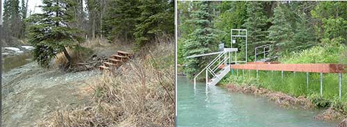 Kenai River ndash PrePost Construction Cabled Spruce Trees Brush Layer Native Vegetative Mat Elevated Light Penetrating Walkway