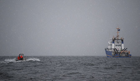 Skiffing back to the research vessel KestrelPhoto by Dave Harris
