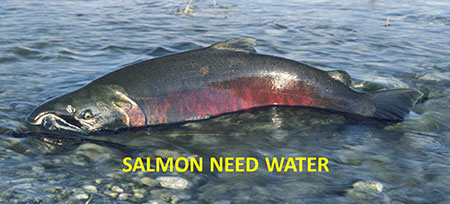 ldquoWe know just what to do We just need the river to do itrdquo hr emAnonymous salmonem from the Mark Titus film ldquoThe Breachrdquo