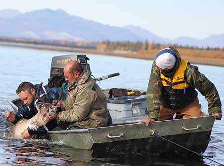 Jim Dau at Onion Portage