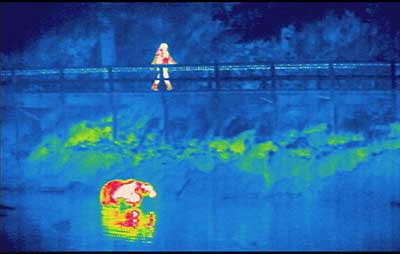 A FLIR image of a person on the Port Armstrong boardwalk with a bear below in the beach Infrared imagery registers contrasts in temperature Photo by Phil Mooney