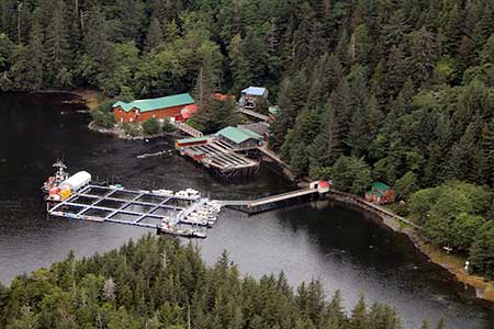 Approaching Port Armstrong by floatplane The tide is high and at low tide a rocky beach is exposed along the shoreline The boardwalk can be seen paralleling the shoreline The creek enters the cove just left of center below the big brown building Photo by Phil Mooney