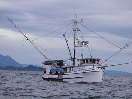 Alan Fisherrsquos boat Fisher is a direct market commercial fisherman