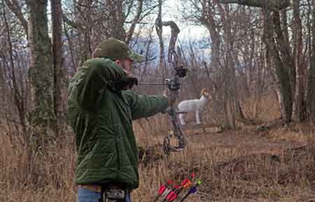 Working on shooting proficiency