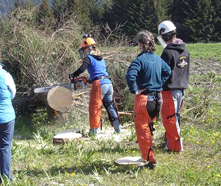 Learning to use a chainsaw