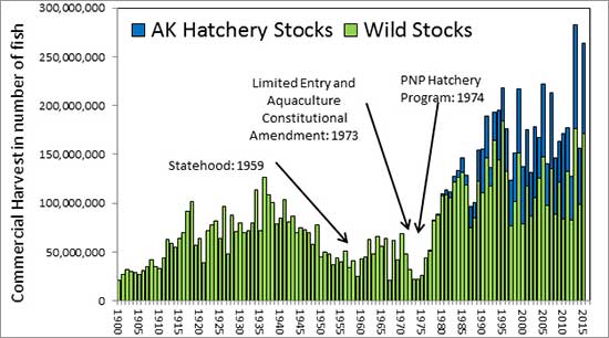 Commercial salmon harvest in Alaska 1900ndash2015 The 2013 salmon season was a state record harvest overall with a commercial harvest of 283 million fish The 2015 season was second at 264 million fish