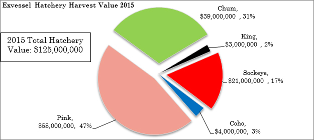 Species composition of 2015 Alaska hatchery exvessel commercial harvest with the value by species and the percent of the total hatchery value for each species About 93 million salmon were harvested in the commercial fisheries in 2015 worth an estimated exvessel value of 125 million Pink salmon comprised 47 of the total value followed by chum salmon 31 and sockeye salmon 17