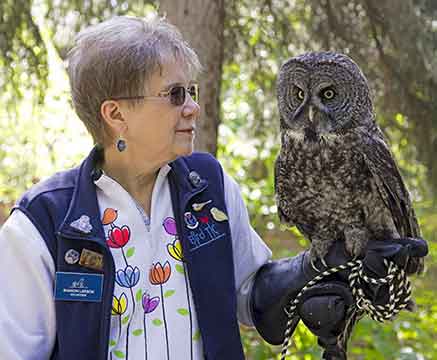 A great gray owl at quotInternational Migratory Bird Day at the Alaska Zooquot in May this year  Photo by Donna DewhurstUSFWS and the owl was courtesy of Bird Treatment and Learning Center