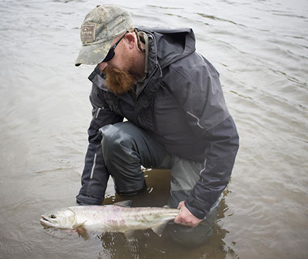 The author releases a salmon