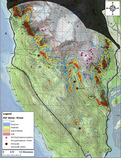Map depicting mountain goat use of predicted winter habitat in the vicinity of the Kensington Mine Lynn Canal Southeast Alaska Winter mountain goat GPS locations grey dots and capture sites purple triangles are plotted along with mine activity centers red crosses and 200 m concentric buffers grey lines RSF model predictions which describe the relative probability of use are colorcoded based on the quantile distribution of RSF scores
