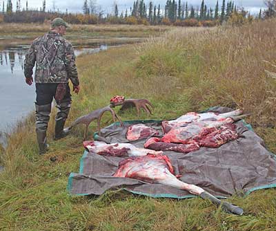 It39s not legal to feed game meat to pets or livestock however it is legal to feed pets the the skin guts heads or bones of game legally taken  after the salvage of edible meat This can introduce parasites Ken Marsh photobr