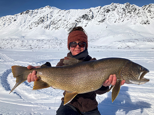 ADFampG fisheries biologist April Behr with a large Tangle Lakes lake trout tagged with a radio transmitter The antennae is the wire protruding from the fish39s stomach ADFampG photo
