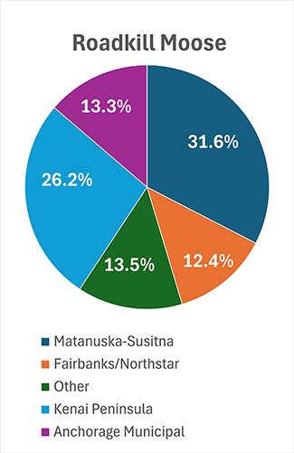 In recent decades about 240 moose per year were killed on Kenai Peninsula roads