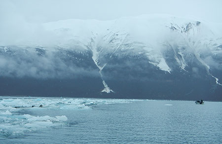Subsistence seal hunters from Yakutat hunt in Disenchantment Bay Photo by Josh Ream