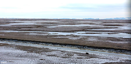 The landscape near Quinhagak Wood Bison 124 is near the lower right corner