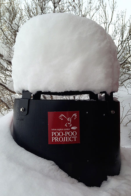 A screen covered with snow the gap around the edge allows it to continue ventingPhoto courtesy Teton Raptor Center