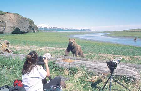 Bear viewing near the intertidal Larry Aumiller photo