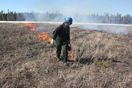 Sue Rodman puts fire on the ground About 800 acres of the Delta Junction Bison Range were burned in April 2017 to enhance habitat for wildlife Photo Tim MowryAlaska Division of Forestry