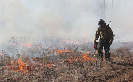 Controlled burning Photo Tim MowryAlaska Division of Forestry