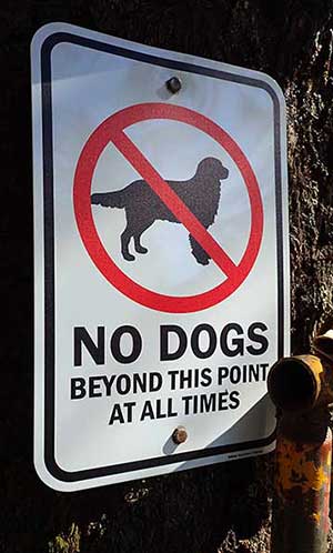 Sign announces that dogs are not allowed in the area that supplies Juneau39s drinking water adjacent to a popular dog walking area