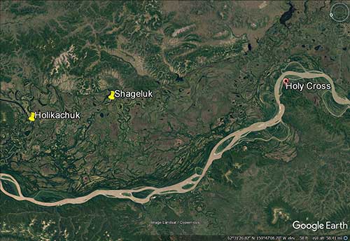 This Google Earth image shows the main range of the Lower InnokoYukon Rivers wood bison herd in Southwest Alaska The initial reintroduction was near Shageluk downriver on the Innoko River from Holikachuk The Yukon River is the main river running across the image